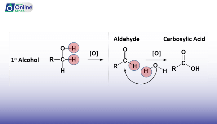 Lesson 05: Chemistry of Aldehydes and Ketones – Reductions to Hydrocarbons, Alcohols, Using Carbon Nucleophiles, Nitrogen Nucleophiles, and Oxygen Nucleophiles